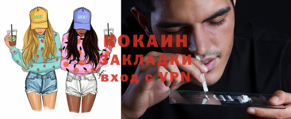 крисы Армянск