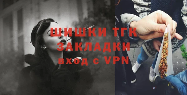 соль ск Арсеньев