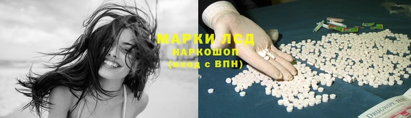 крисы Армянск