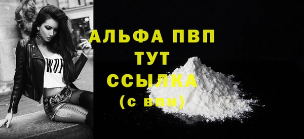 spice Аркадак