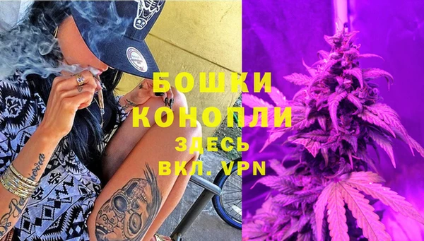 соль ск Арсеньев
