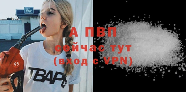 spice Аркадак